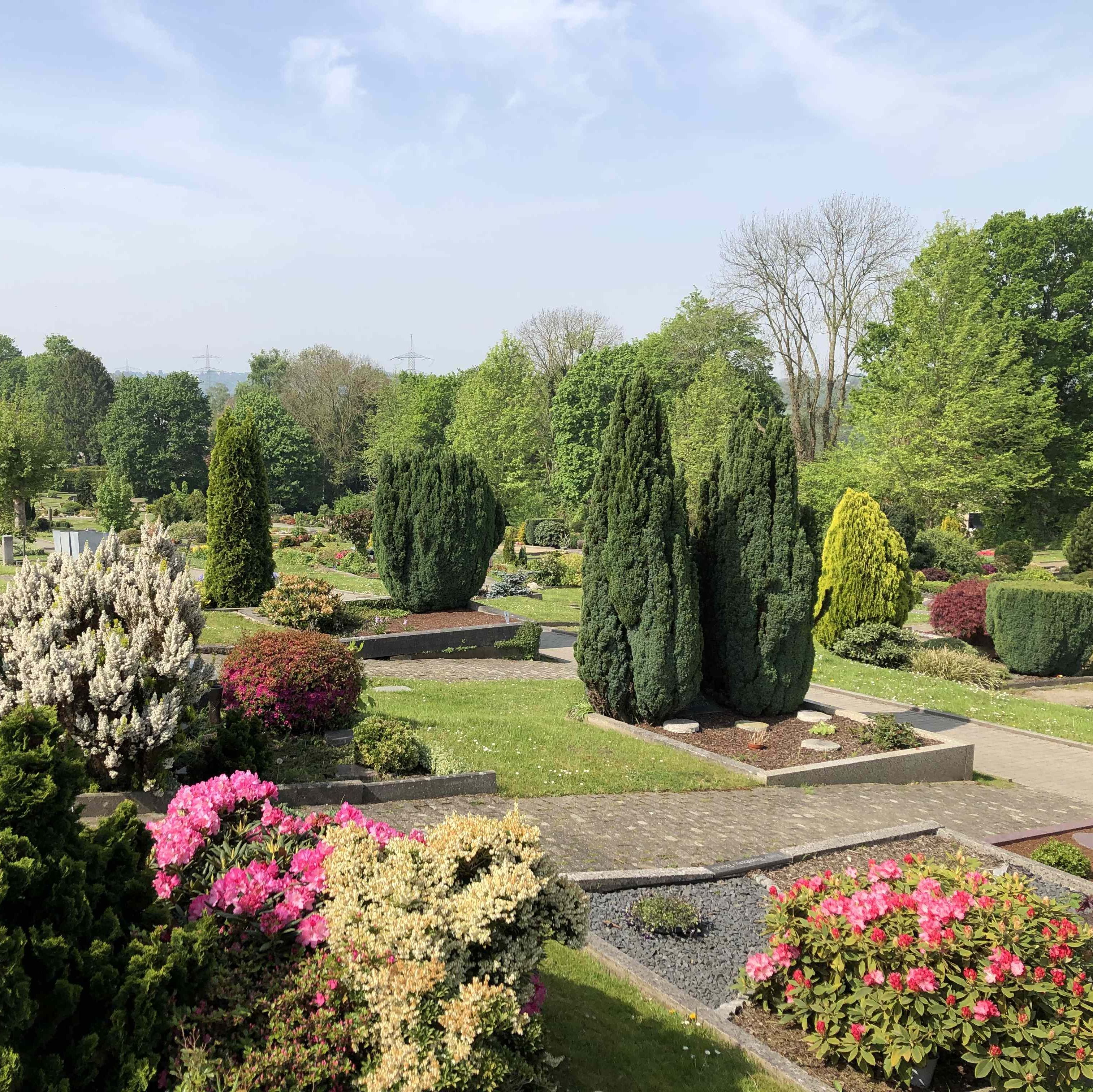 Alter Friedhof